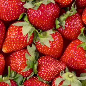Esencia Frutilla Brodsky 50cc