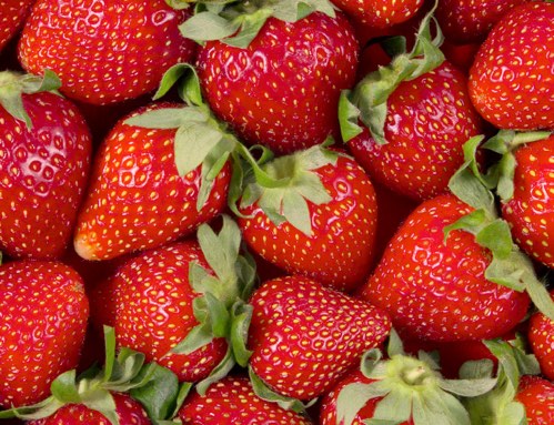Esencia Frutilla Brodsky 50cc